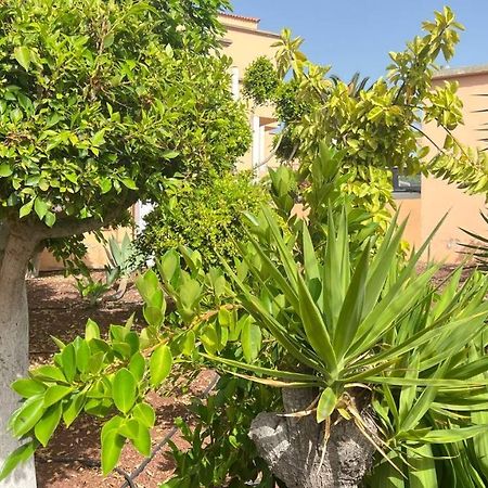 Ocean View Apartment In Orlando Costa Adeje  Eksteriør billede