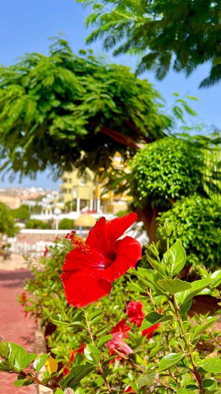 Ocean View Apartment In Orlando Costa Adeje  Eksteriør billede